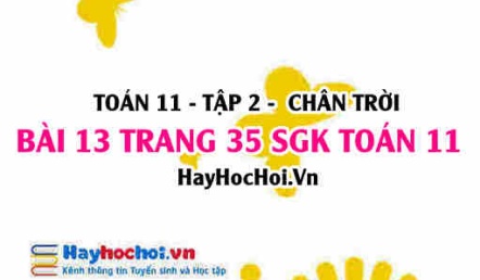 Bài 13 trang 35 Toán 11 tập 2 Chân trời sáng tạo